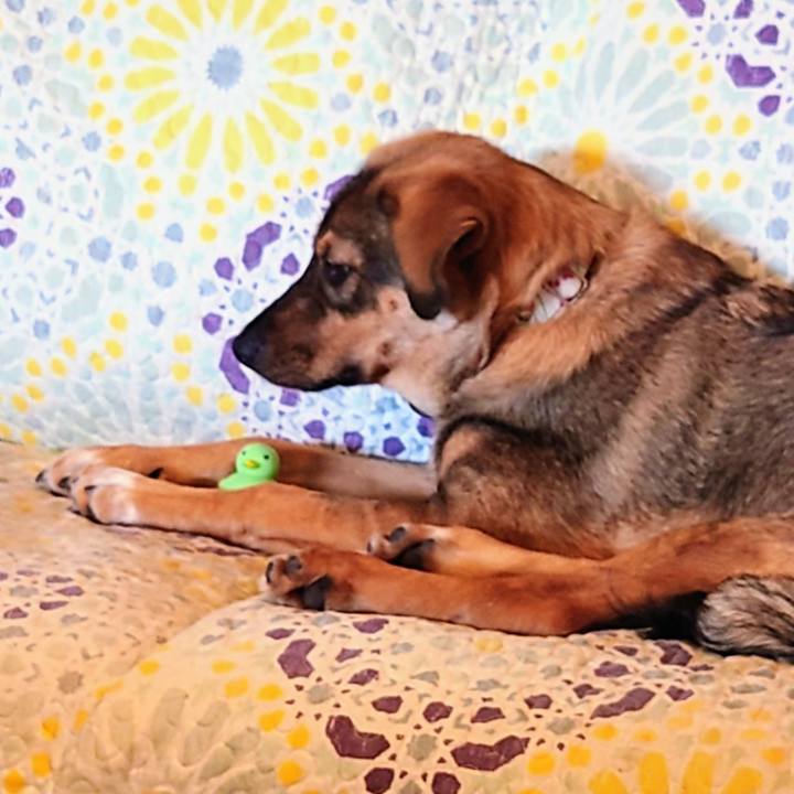 74b2c96f e13b 4609 b2e3 28130ca4f19e 1686887980829