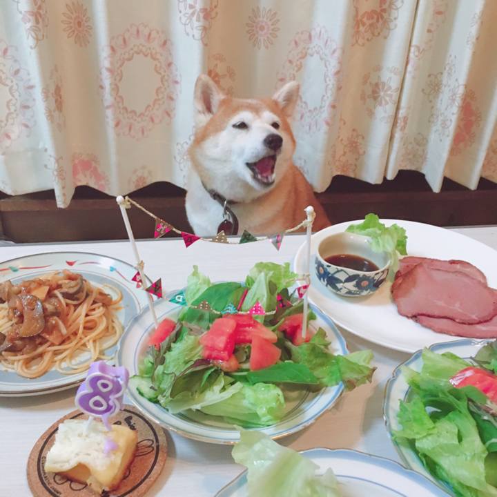 74b2d0a3 d653 4c35 8428 ccf4344352e1 1524395773064