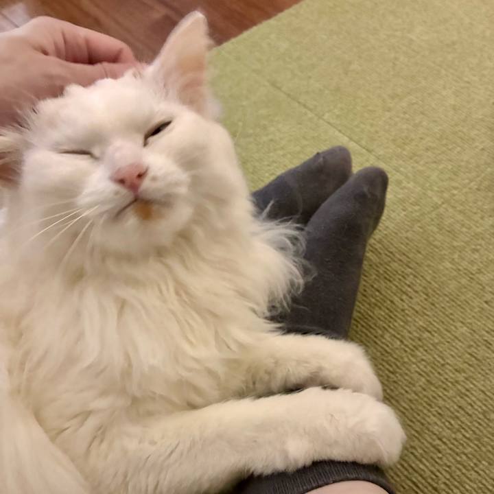 74b3393d 5ff0 4828 88e6 1d25d789e312 1774841498125