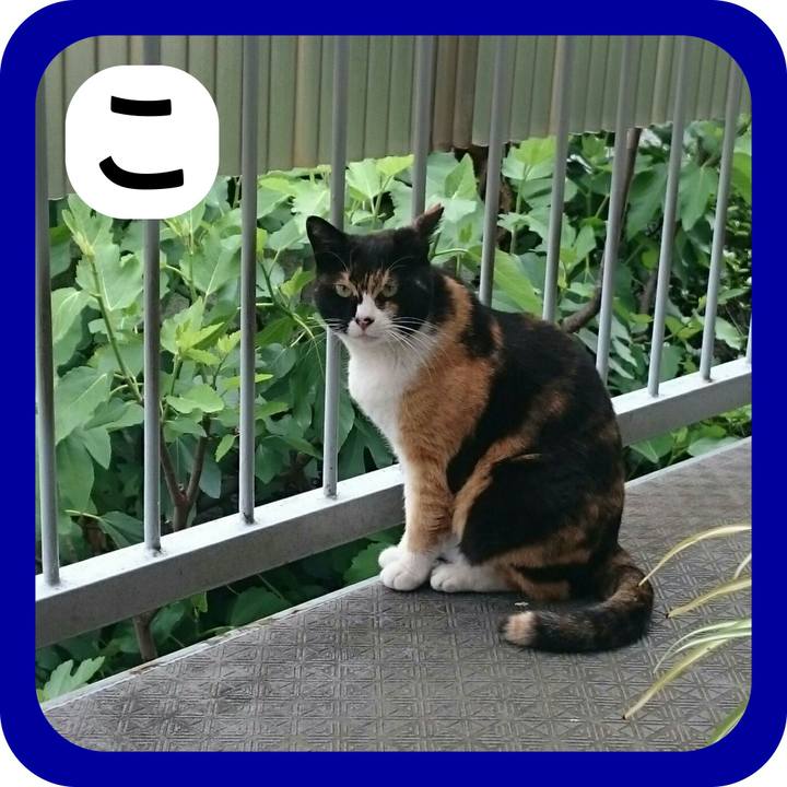 74b35341 06bd 4c63 989b eb0d6afe4b4d 1514888196856