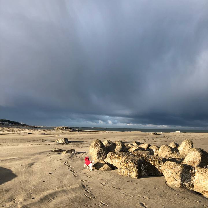 74b36bc4 2614 4bf4 ba75 8083ec2ca12d 1608596429949