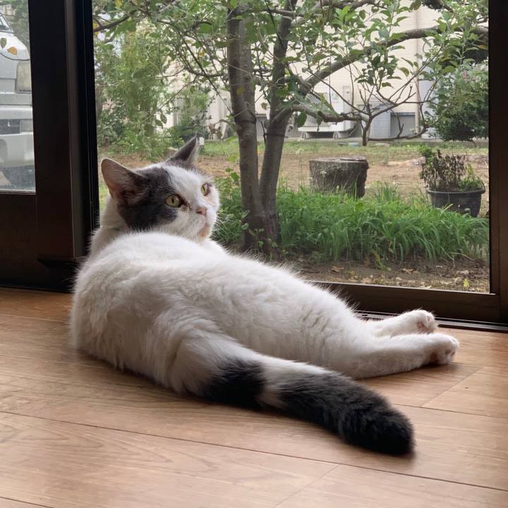 74b3a233 2075 41fd 8c99 40dde745d2d0 1697099421760