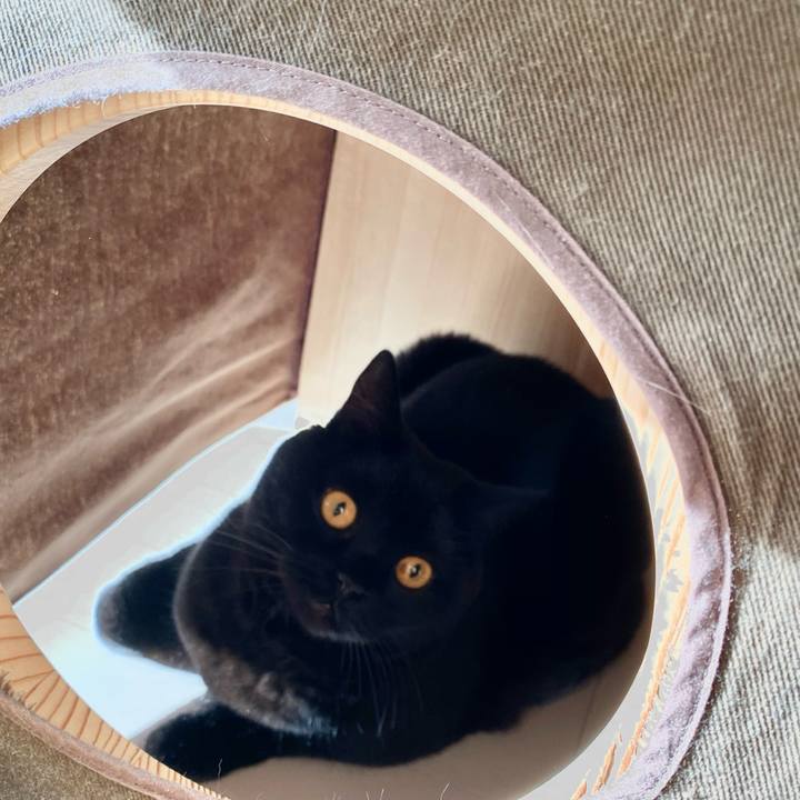 74b3b04b 7e33 46a6 83c9 da276459f447 1607234183140