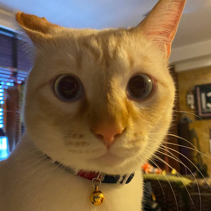 74b3bf5c 67dc 42fe 8e9e 74855a8daf15 1615244108486