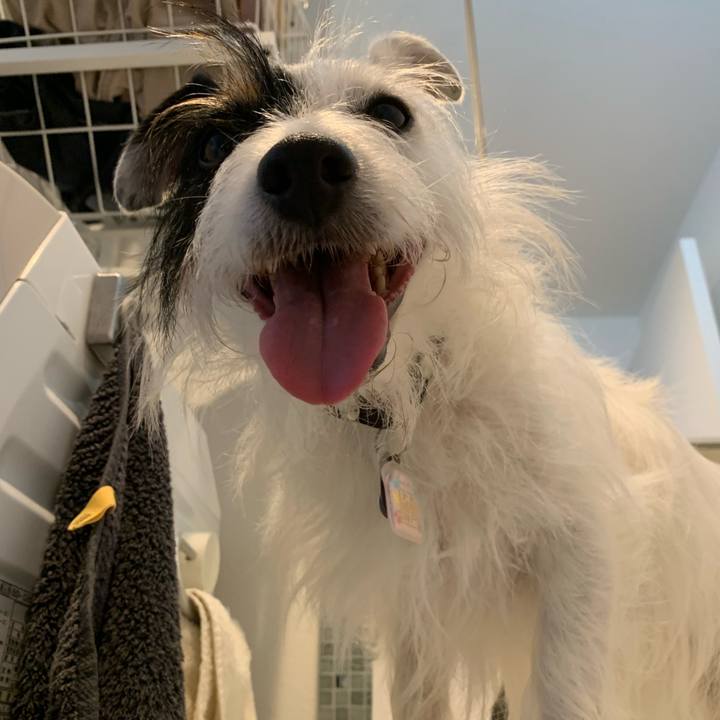 74b3c08c ff2b 495c 8084 d64d0195d028 1662594980752