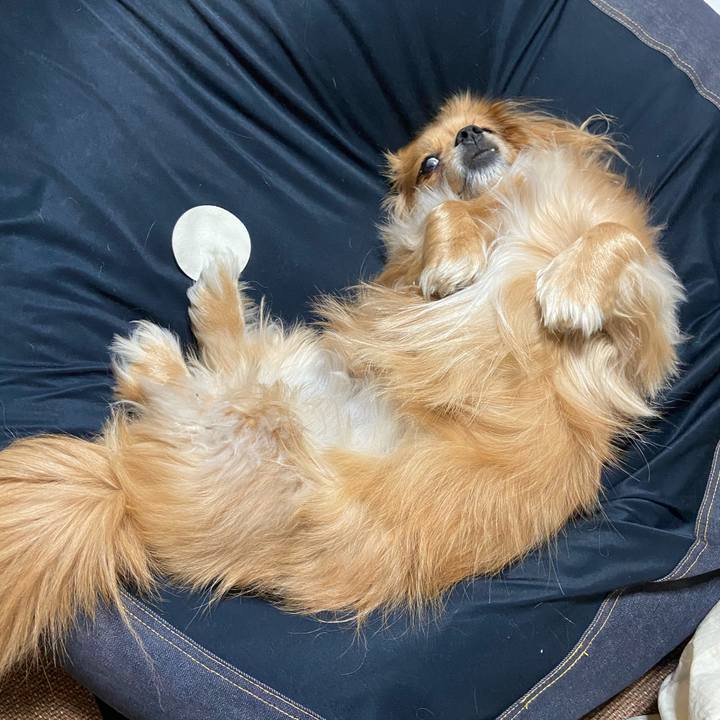 74b3d069 5537 4fa9 b3a5 05ef23fcb797 1583790521285