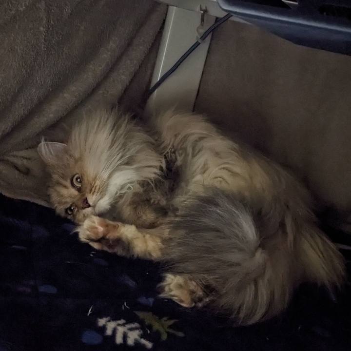 74b3f62a 256b 4717 8077 bc669db58687 1703109917344