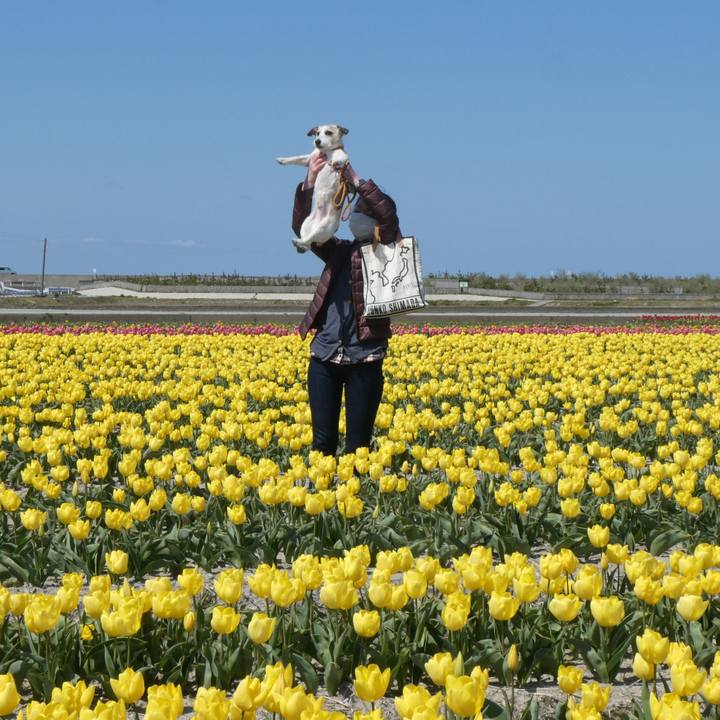 74b3feaf 96cf 4d11 a6cf 574560cde355 1618146991801