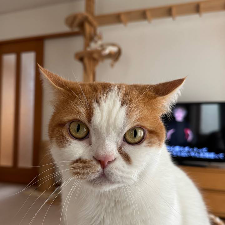 74b415d0 eb76 4021 a90e 008e8688104e 1761878124827