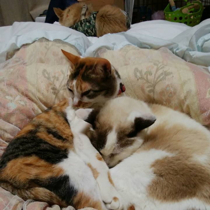 74b41a3c 1535 4a81 b8bf e2a2e31bba35 1519830008825