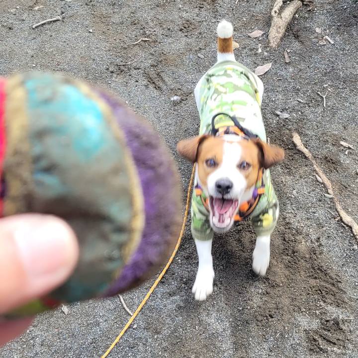 74b42543 d2fa 4712 b5b9 310497c98a54 1648217559955