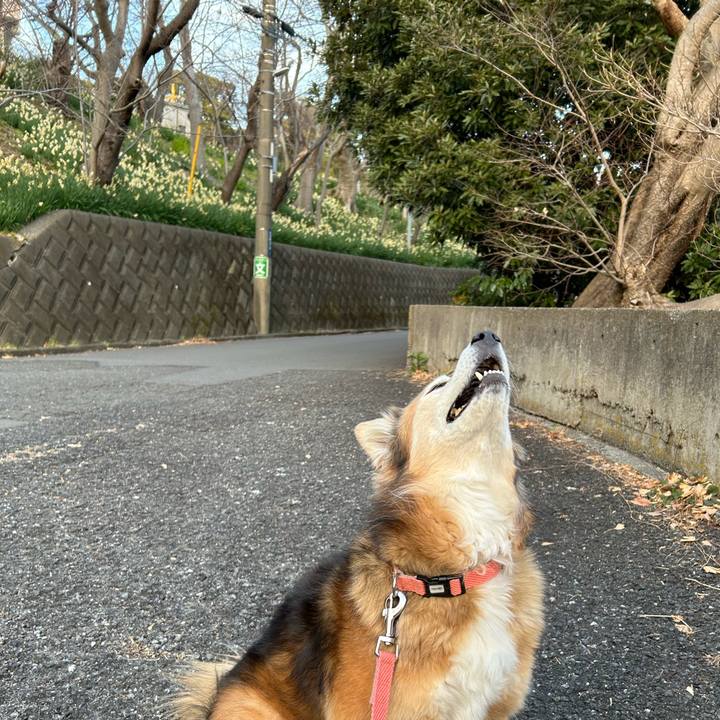 74b4275f d5f8 4110 a1eb a5c1fc0788c7 1708010369025