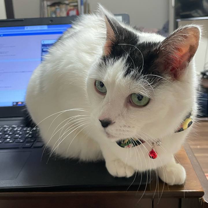 74b45446 a388 4319 970a 20a666f1db85 1647424418240