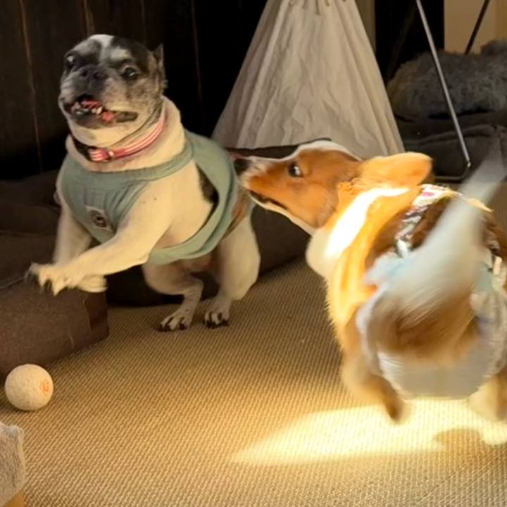 74b45470 27aa 4820 a815 c8ee6babdab9 1760794313648