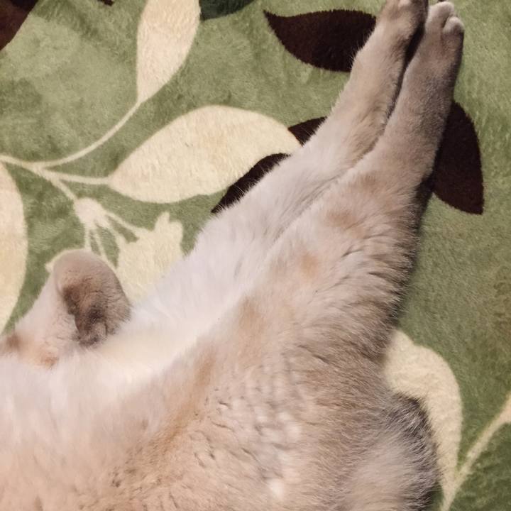 74b45a34 5160 4939 a875 474c1f8de31e 1581031448701