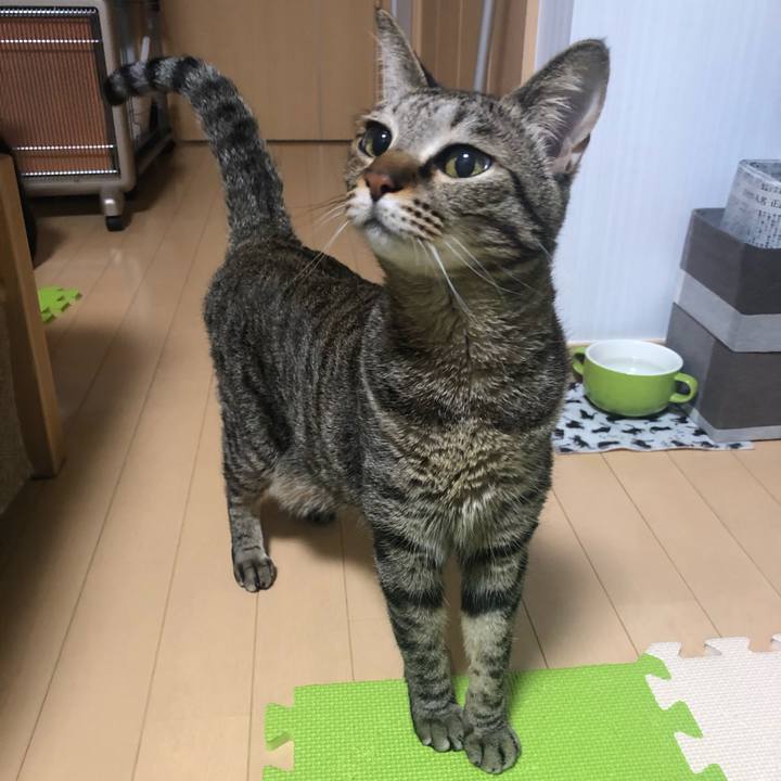 74b45e20 e991 4a44 ae6e 0de0b68d47e1 1554901055140