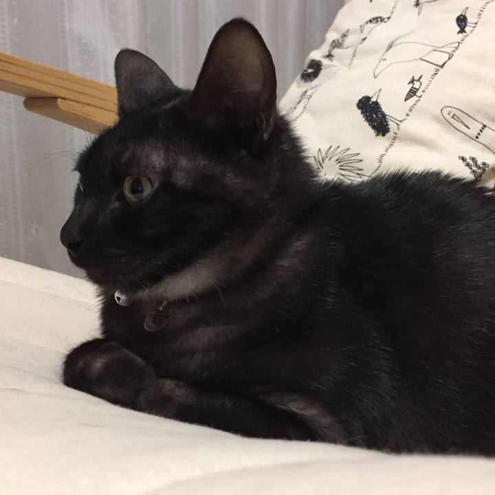 74b46691 9b45 444b 9a54 bb457d6a5d34 1508688711127