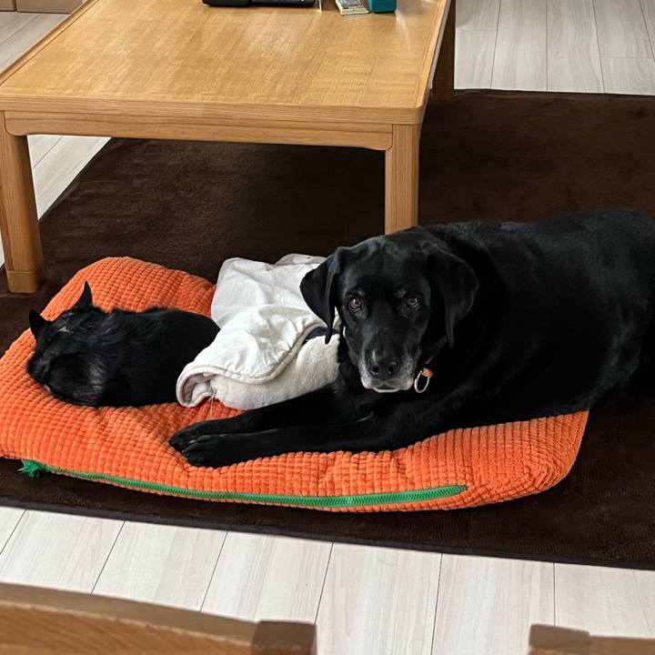 74b4aa34 dc80 468d 9aba 3283a4be8cee 1764154542410