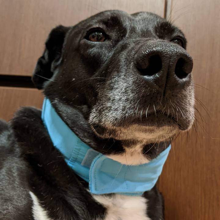 74b4c7b8 9ddb 4652 a74c 2acde7f35ef5 1655684307560