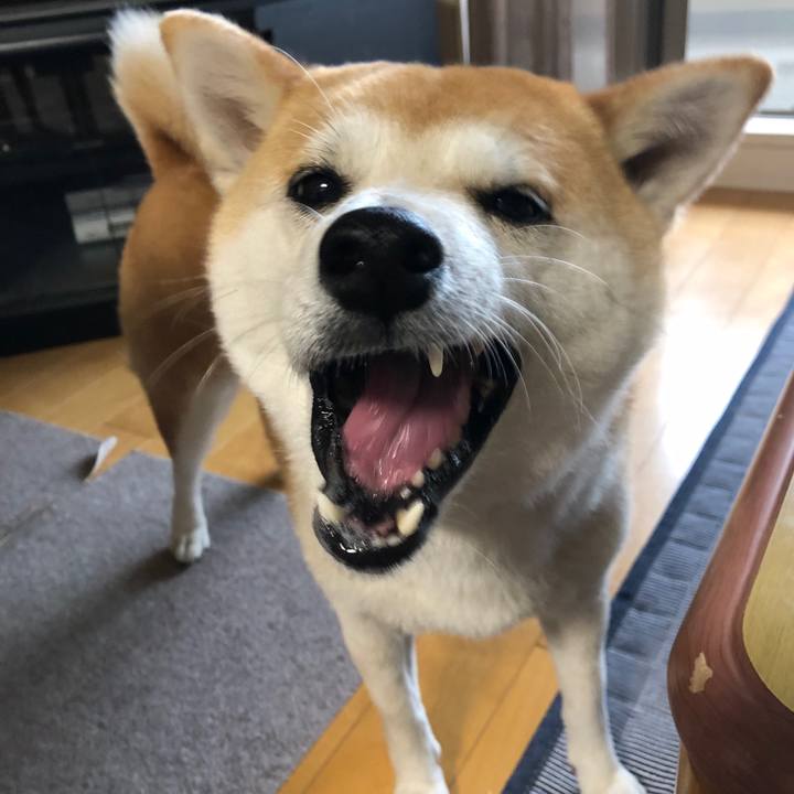 74b55cca 48fb 4670 9c5b eacfa87a2dcd 1589591312922