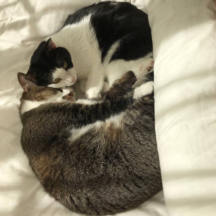 74b58986 0d99 4947 b9c7 16524d5d425e 1545090397122