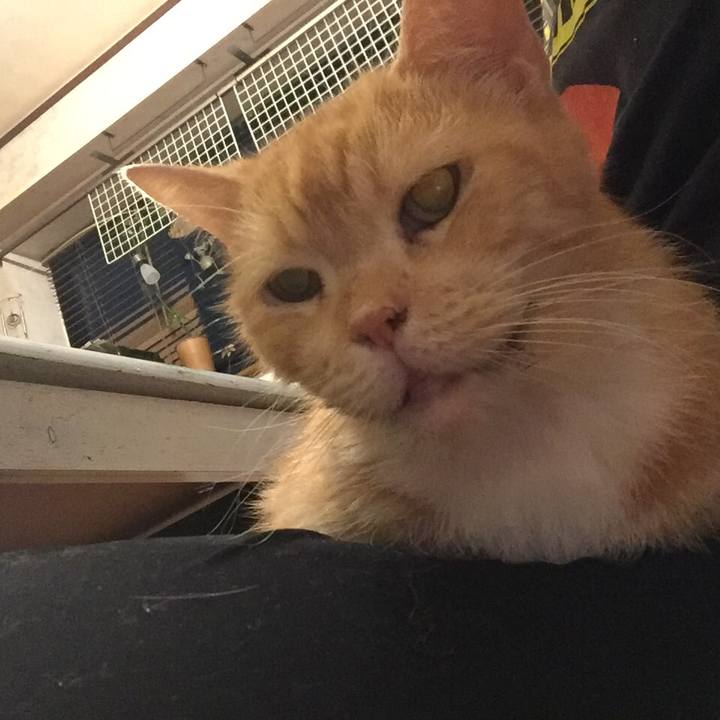 74b58ec0 70ac 4411 8e43 b2f1826913fa 1571914284116