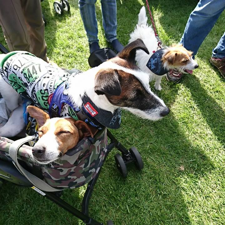 74b58ef3 5a02 49da b3eb ff4b6e7d14e4 1537692143252