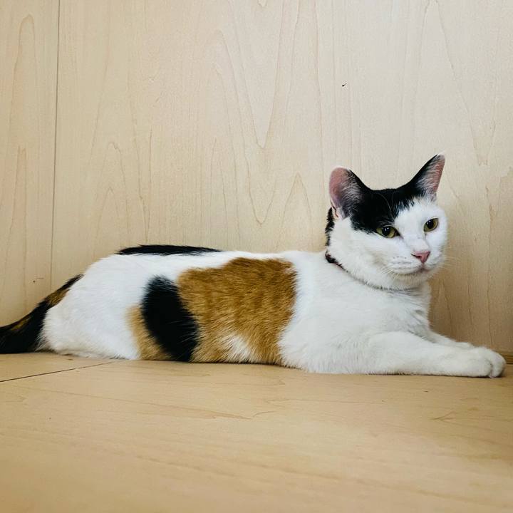 74b5a340 c7ee 4e4a bc63 72a0b4a27510 1659015294834