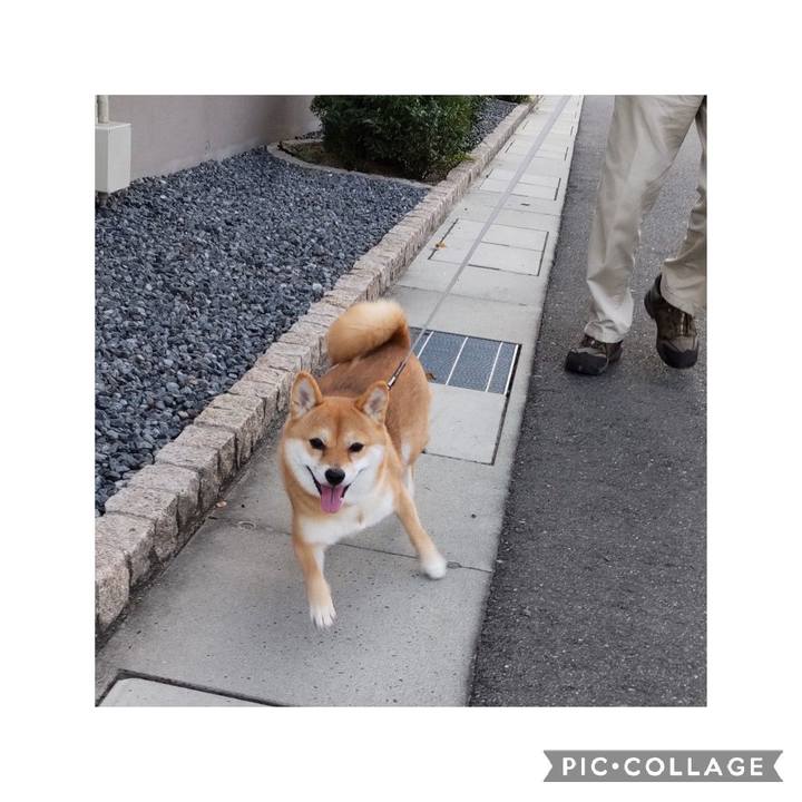 74b5bea8 76bd 4b03 a208 48dc880814b1 1666435521219