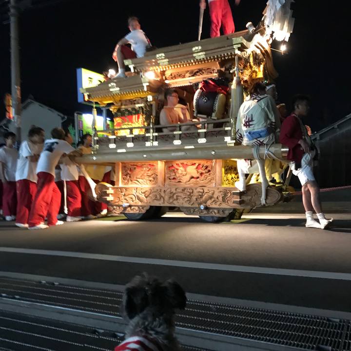 74b5d5a5 50f9 45cb be6b 439d1023ddcb 1540128276476