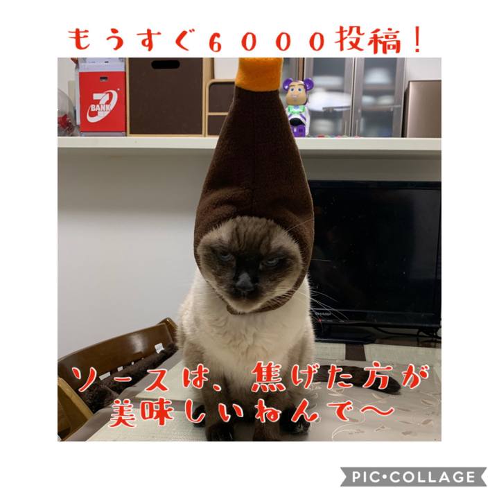 74b61685 6bf3 4bae a8e5 f058a6da5ee1 1578483947831