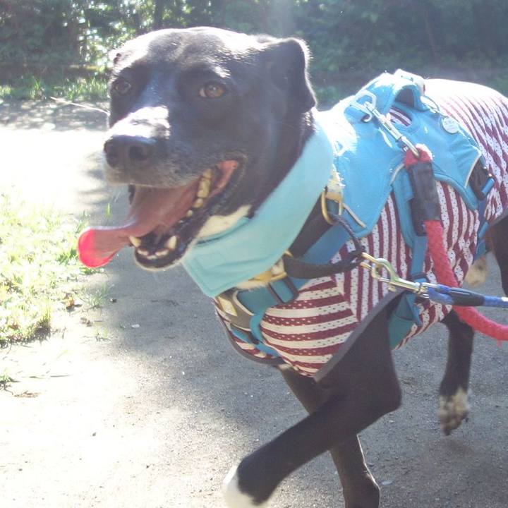 74b64c40 50f9 4944 b468 b76baf811fb8 1627861870707