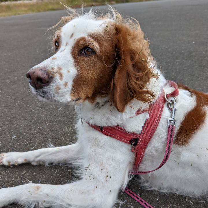 74b65b1b fcfa 4878 a8b8 176a76956a55 1636532100498