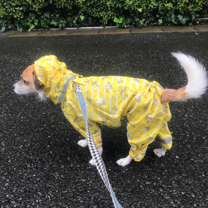 74b66904 99bd 4ebd a4cf bb54dba35966 1528697349287