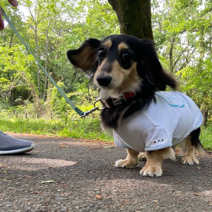 74b68bea ad95 4da7 9785 42148b5af416 1714350075858