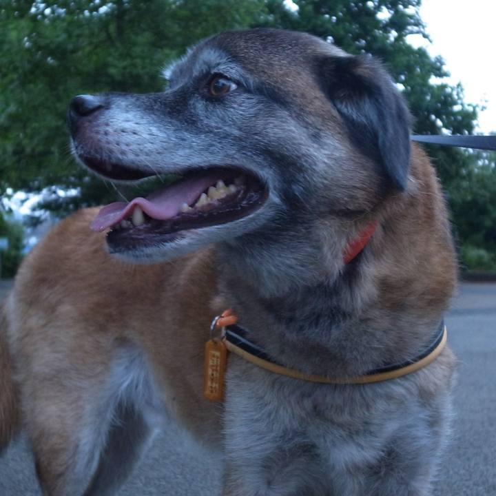 74b68fd7 4910 472b 97ae a94473d5f62b 1588122555877