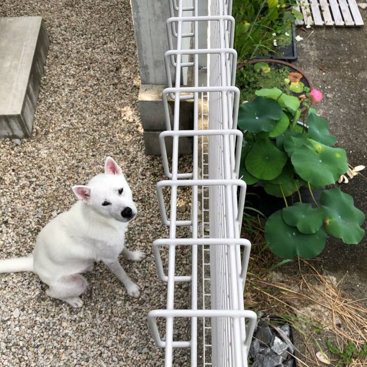 74b6943b 1267 4114 a9b1 97679c9f761a 1532993623235