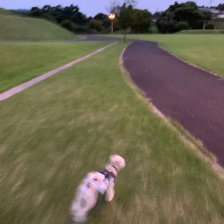 74b6fab2 0a82 4681 bed2 843488b09892 1564396491622