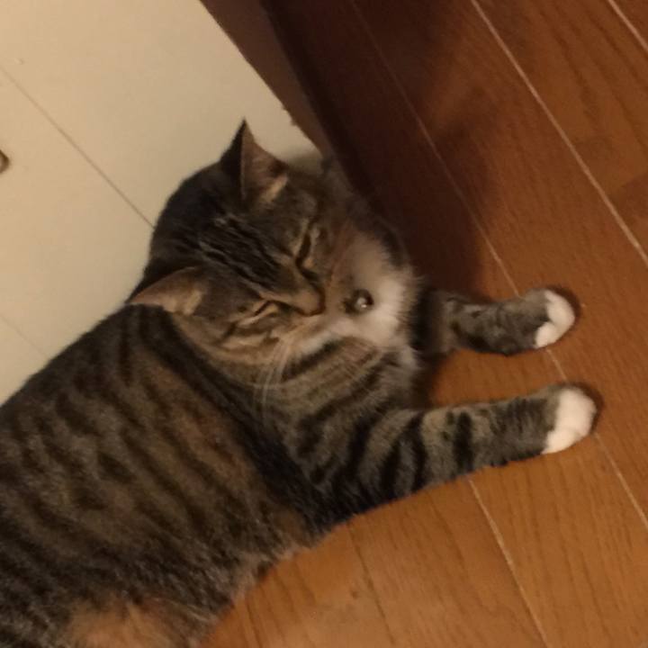 74b70180 9868 49fd 9c0d 48002892eb7d 1564505890317