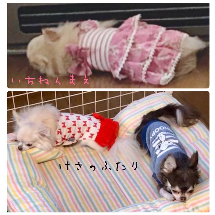 74b734ed a968 4150 89fc feaa49628ac4 1575069511108