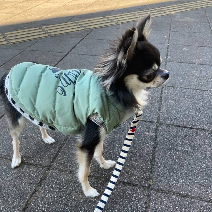 74b7a681 7ef6 4459 9ebf 9fd15dd6a085 1610170075438