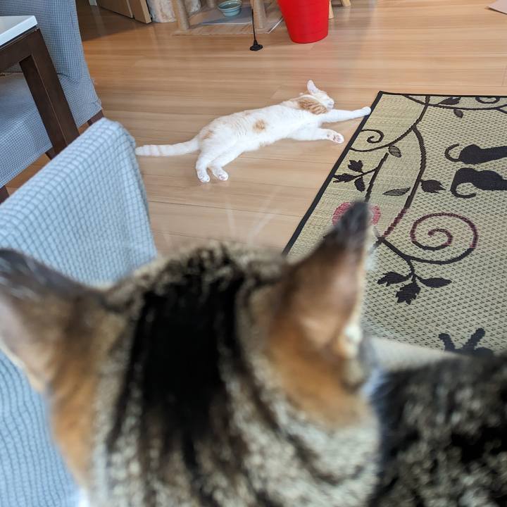 74b7c773 ca4c 4d42 b922 25a657b5f474 1690069677719