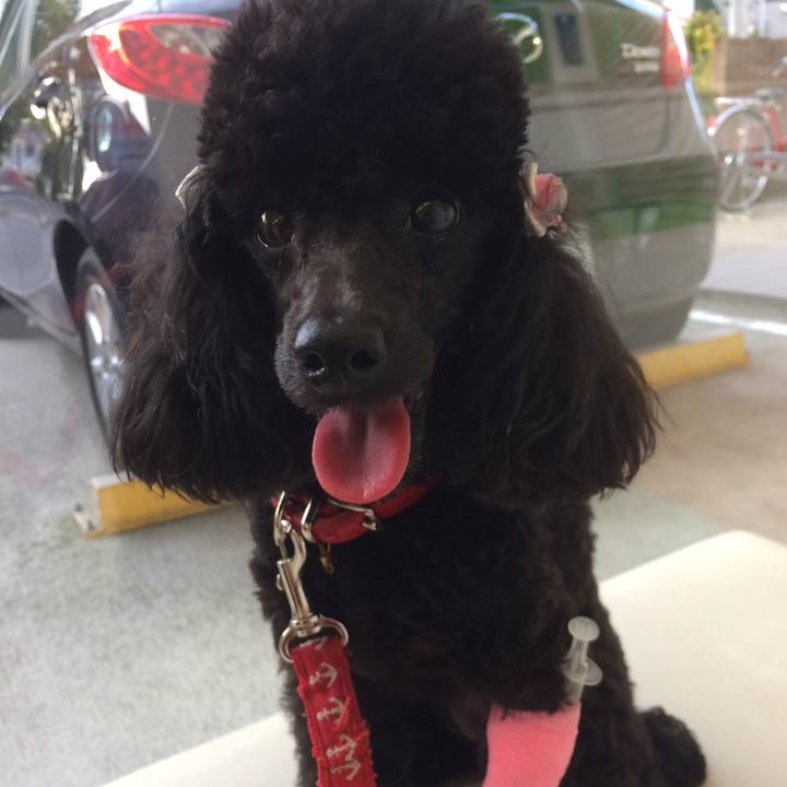 74b7ce25 2b38 439a bea3 e41a01bd6478 1528020583924