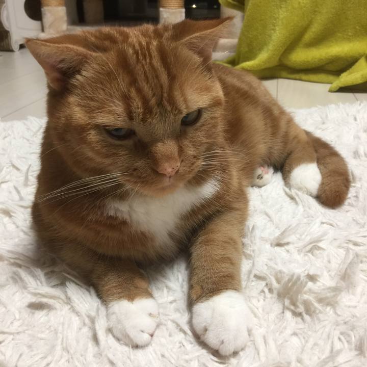 74b80cac aeed 4df7 885d 722d78e6504e 1593341664526