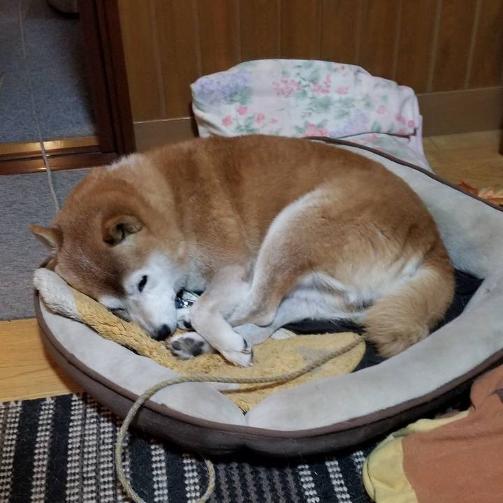 74b822c5 eb8c 4680 b8fb 6ff356790f1f 1665571936306