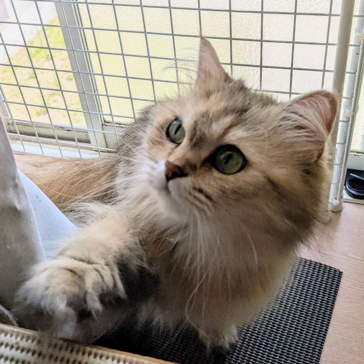 74b8e05c 863f 466a a229 0915faaefd39 1655856312850