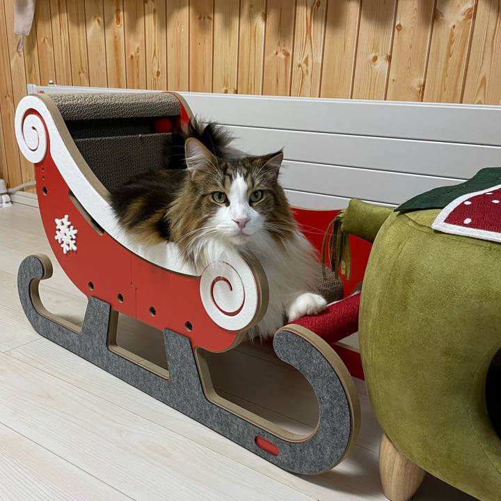 74b8f568 6154 4516 9633 9a4623e3f5bc 1701027124124