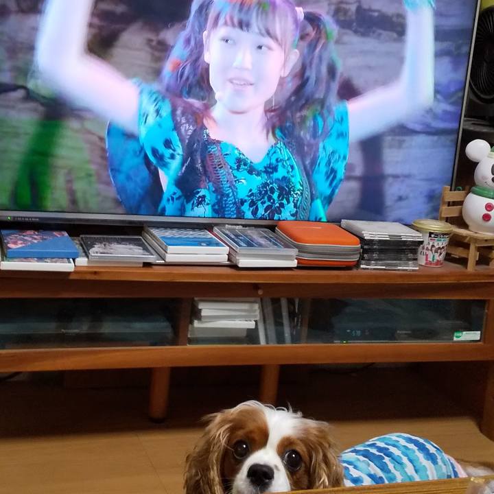 74b90529 cd80 4ca2 a9e7 bd2053ebaa1f 1596282756784