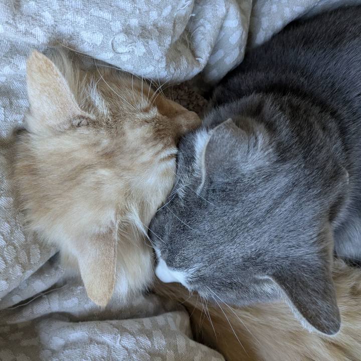 74b9298d 2f01 425f 85bd 5b62a864f317 1764811381018