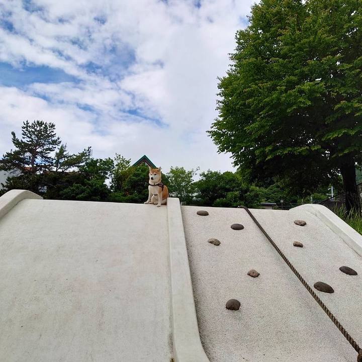 74b9689e 2bdf 4232 b20d 6a8d1ef95242 1624155706008